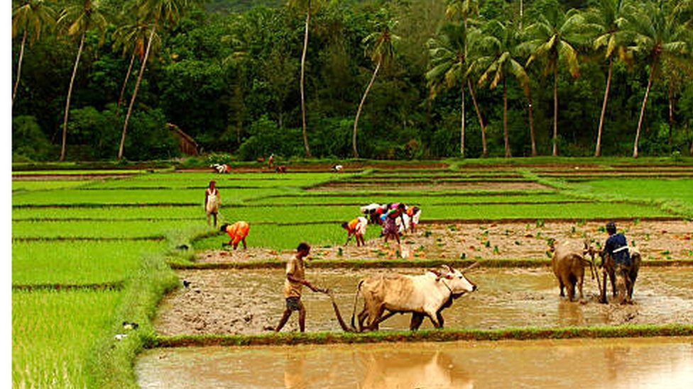 வேளாண் தனி பட்ஜெட் -2022
