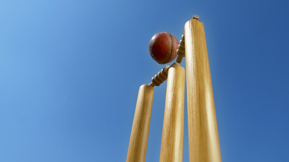 கிரிக்கெட் கிரிக்கெட்