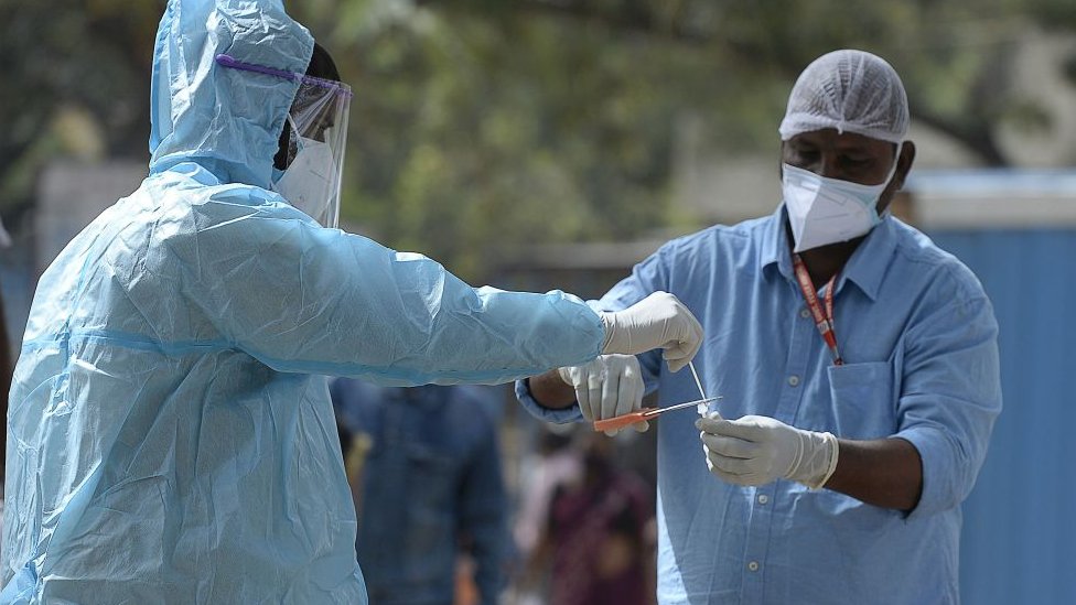 கொரோனா பரிசோதனை கொரோனா பரிசோதனை