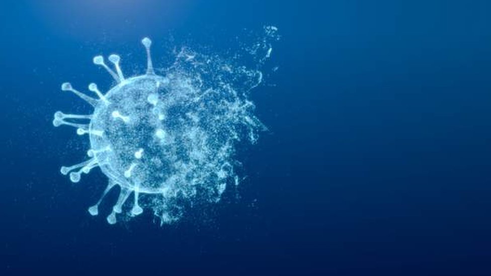 கொரோனா பரவல்