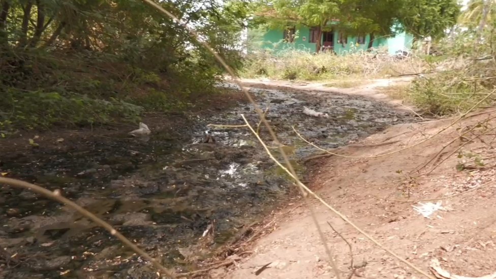 மயானம் செல்லும் பாதை மயானம் செல்லும் பாதை