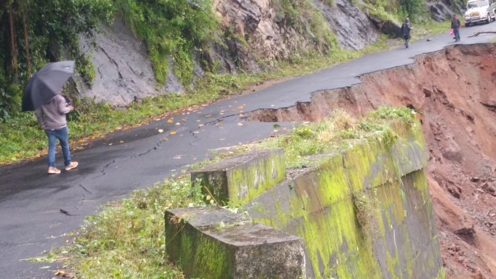 கொடைக்கானல் வனப்பகுதி