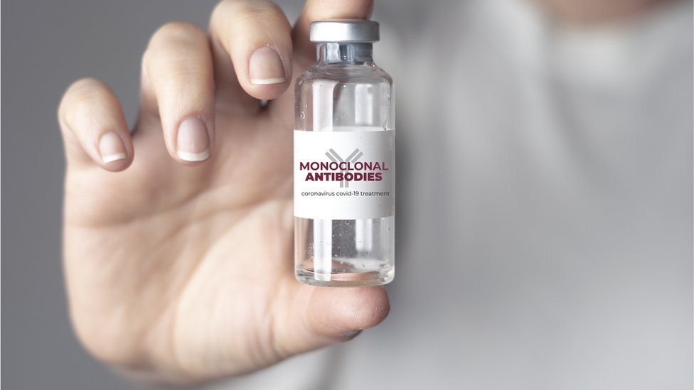 நோயெதிர்ப்பி மருந்திணைமங்கள்