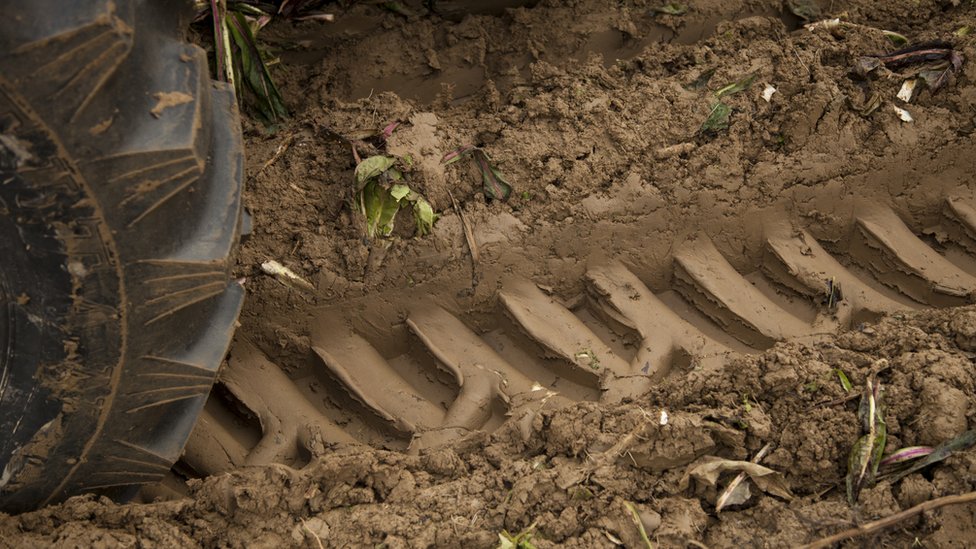 டிராக்டர் - கோப்புப்படம்