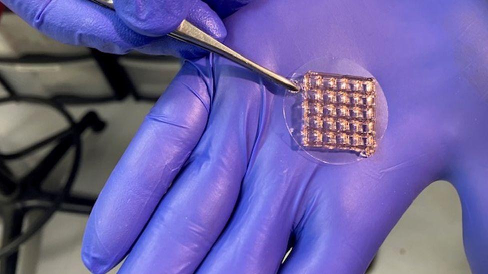 ஸ்டெம் செல் தொகுப்பு எந்த வடிவத்திலும் பயோ-பிரின்ட் செய்யப்படலாம் ஸ்டெம் செல் தொகுப்பு எந்த வடிவத்திலும் பயோ-பிரின்ட் செய்யப்படலாம்