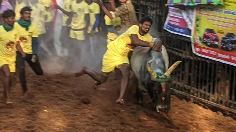 ஜல்லிக்கட்டு ஜல்லிக்கட்டு