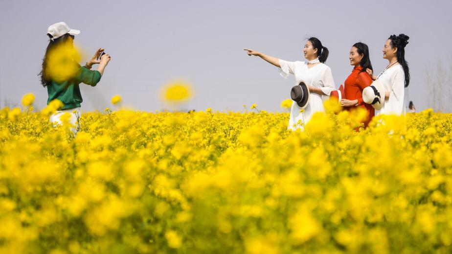 சீனா, காதல், மக்கள் தொகை